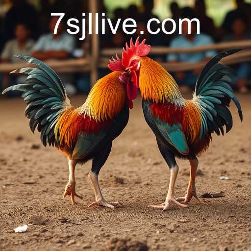 Exploring the Traditional and Modern Aspects of Sabong Games